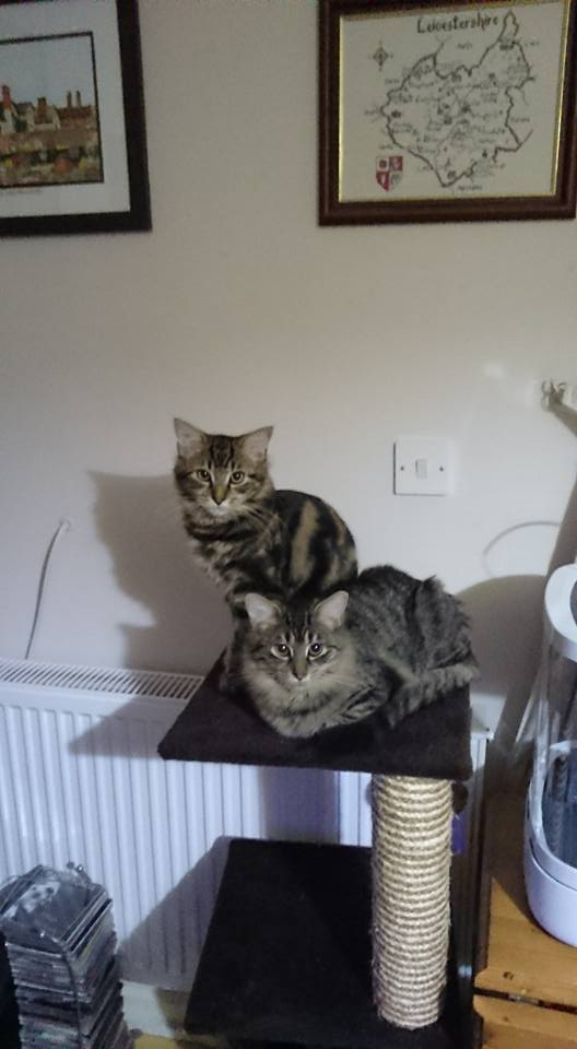 warmspot